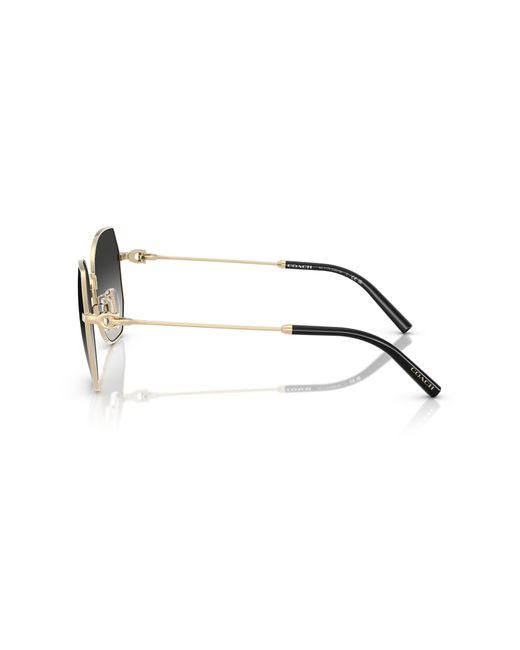 COACH Black Sunglass Cad79
