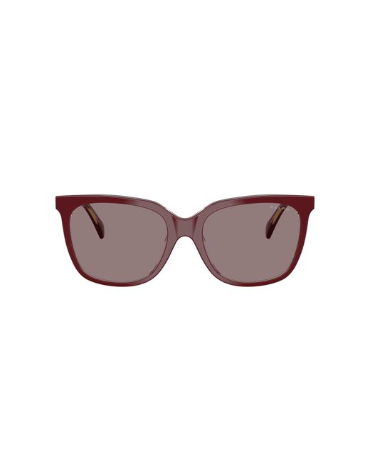 Ralph Black Sunglass Ra5343u