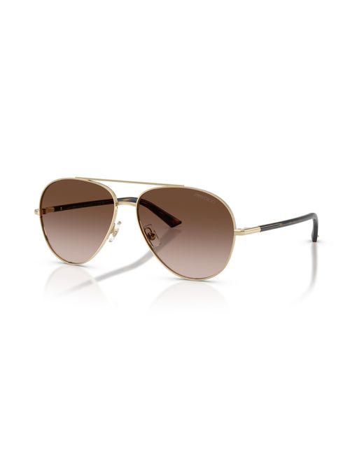 Jimmy Choo Black Sunglass Jc4026