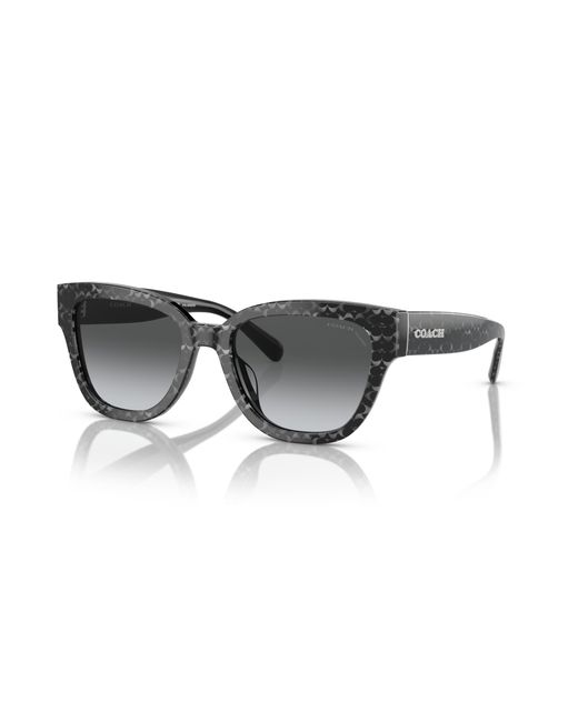 COACH Black Sunglass Cl920