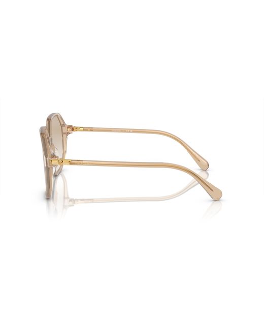 Swarovski Black Sk6003f Low Bridge Fit Sunglasses