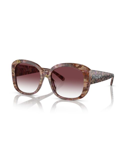 COACH Black Sunglass Hc8363u Ch564