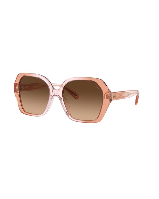 COACH Black Sunglass Cr615