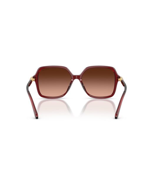 Swarovski Black Sunglass Sk6067