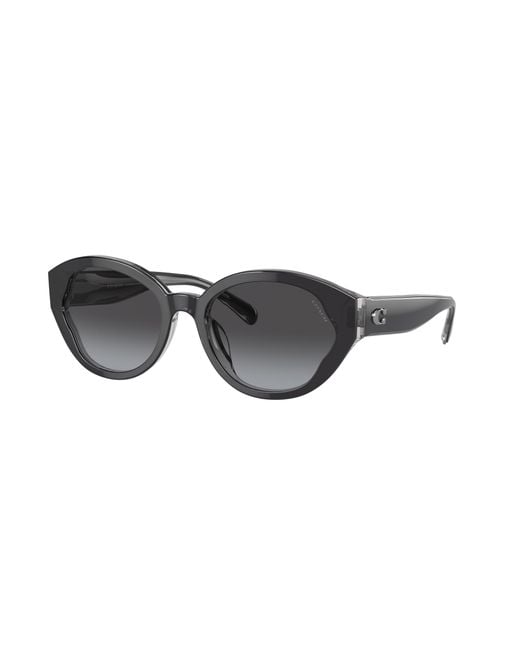 COACH Black Sunglass Ch569
