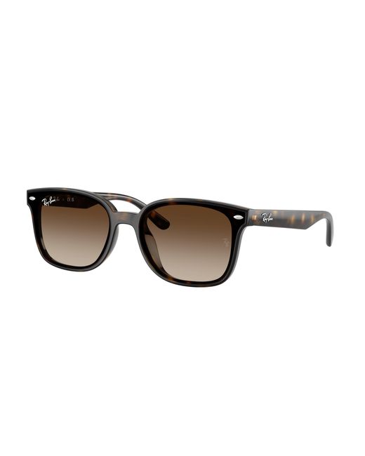 Ray-Ban Black Ray