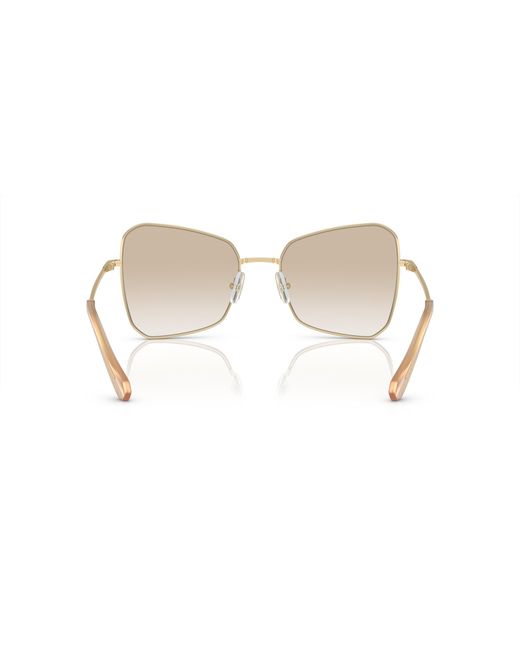 Swarovski Black Sunglasses Sk7008