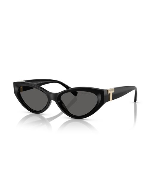Tiffany & Co Black Sunglasses Tf4225U