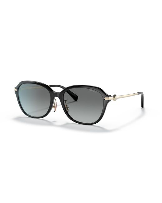 COACH Black Sunglass C6199