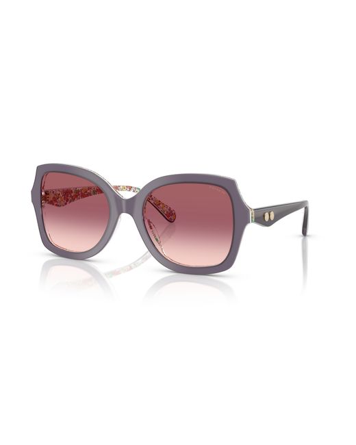 COACH Black Sunglass Cw225
