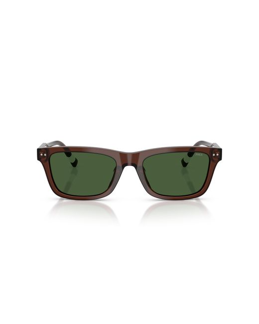 Polo Ralph Lauren Green Sunglass Ph4240u for men