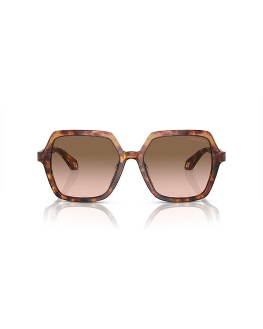 Giorgio Armani Black Sunglass Ar8193u