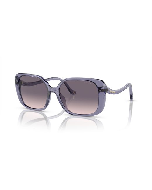 COACH Black Sunglass Hc8376u Cl929