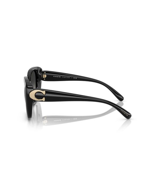 COACH Black Sunglass Cad33