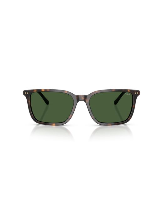 Polo Ralph Lauren Green Sunglass Ph4226 for men