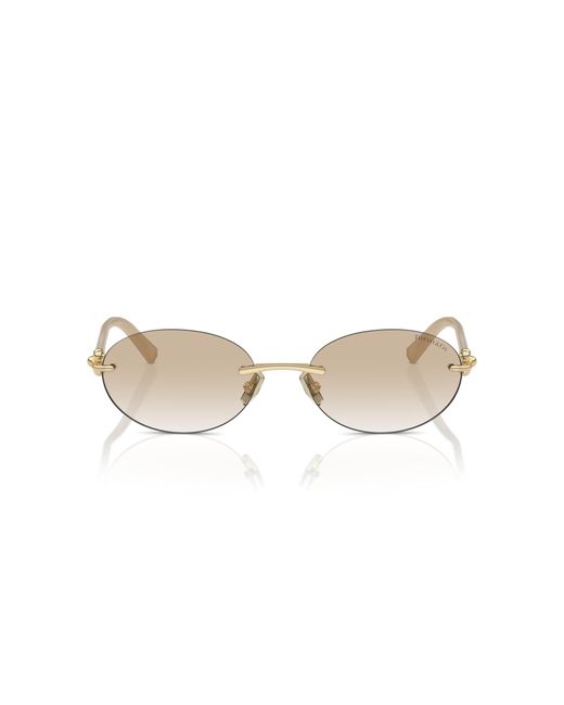 Tiffany & Co Black Sunglass Tf3104d