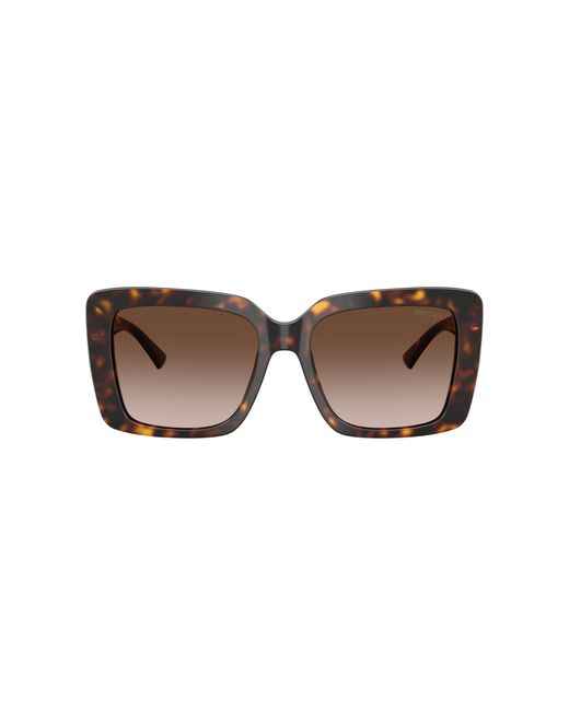 Jimmy Choo Black Sunglass Jc5042