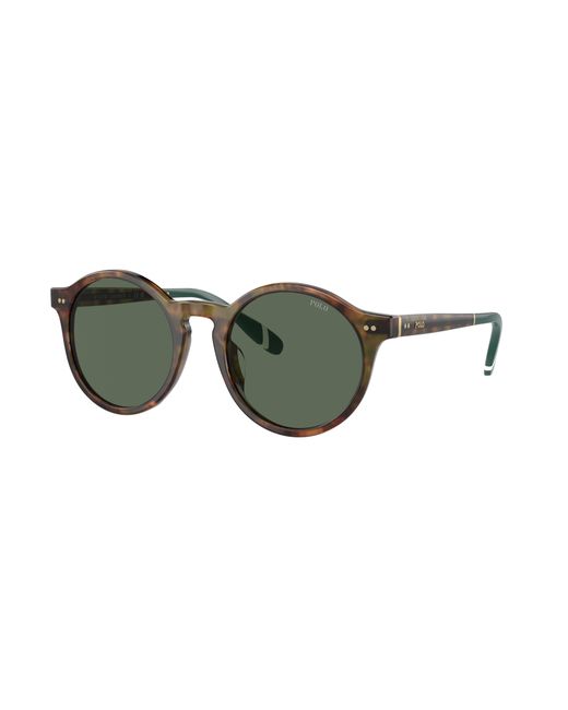 Polo Ralph Lauren Green Sunglass Ph4204u for men