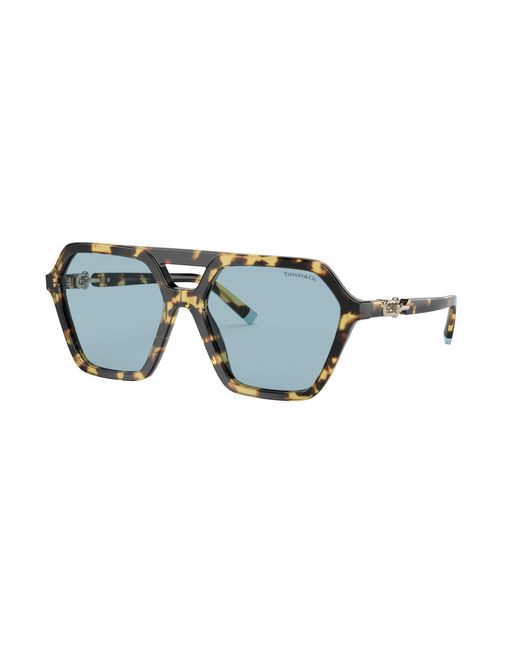 Tiffany & Co Black Sunglasses Tf4198