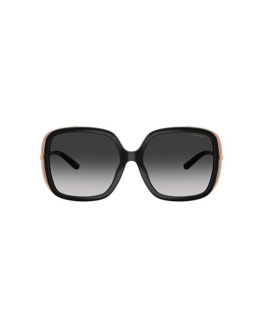 COACH Black Sunglass Cad80