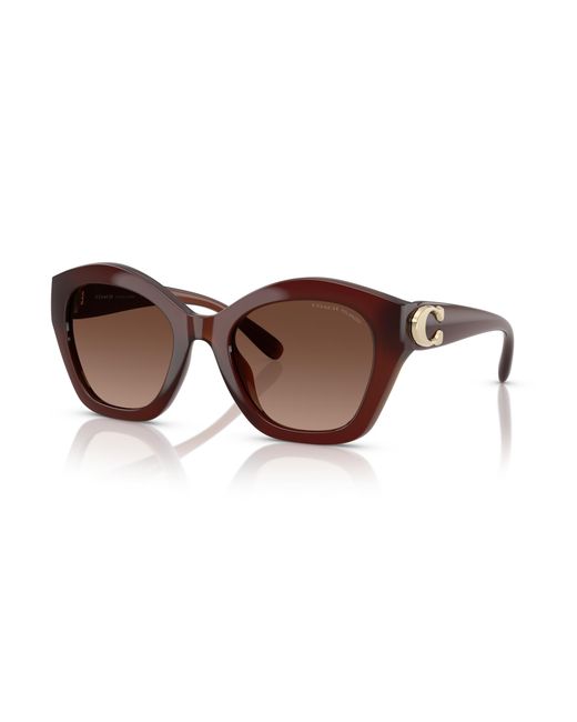 COACH Black Sunglass Hc8421u Cad31