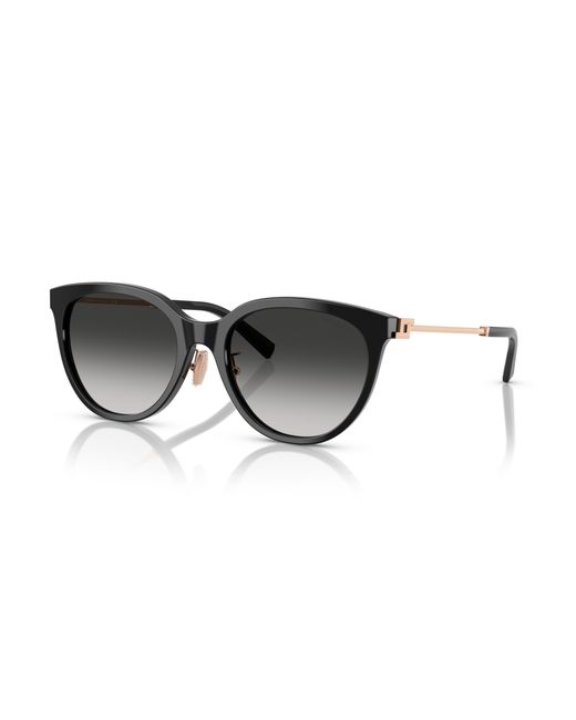 Tiffany & Co Black Sunglass Tf4243d