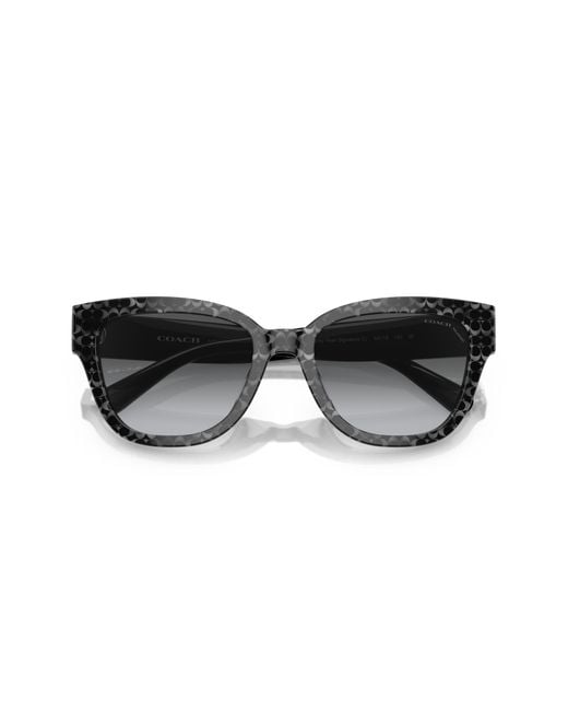 COACH Black Sunglass Cl920
