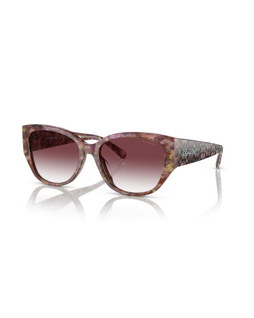 COACH Black Sunglass Hc8362u Ch563