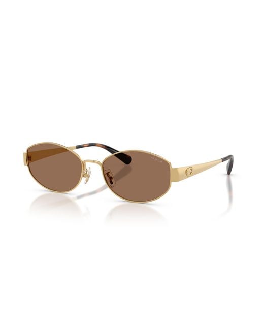 COACH Black Sunglass Cdp44