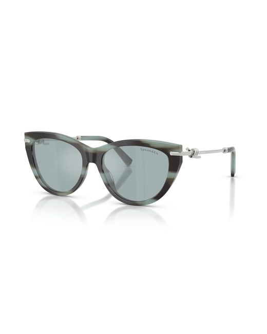 Tiffany & Co Black Sunglass Tf4253
