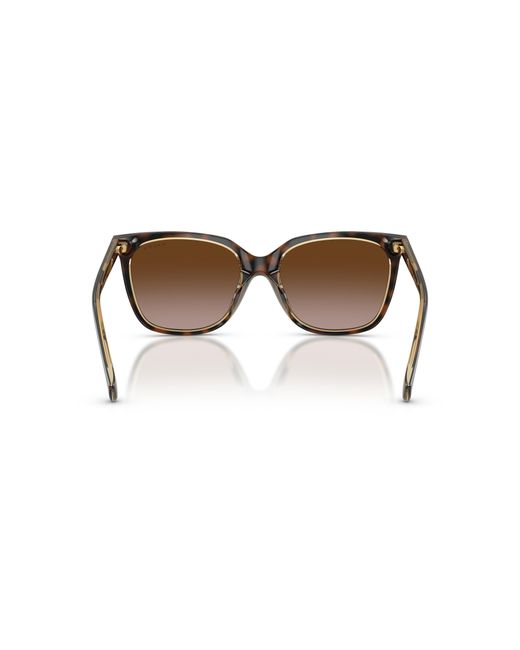Ralph Black Sunglass Ra5343u