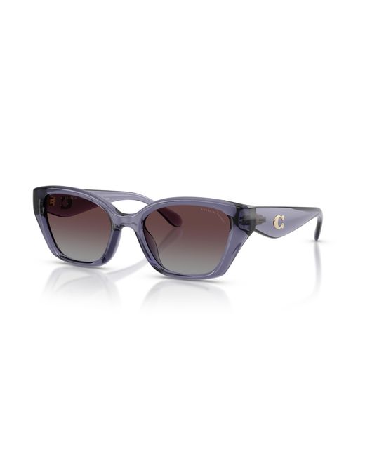 COACH Black Sunglass Cby91