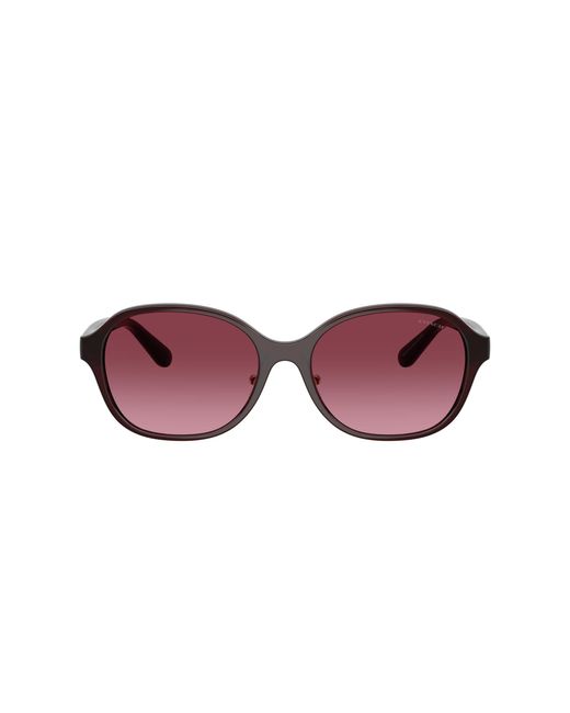 COACH Black Sunglass Cby85
