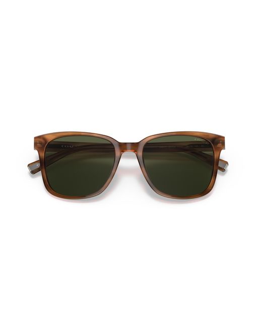 COACH Black Sunglass Hc8313u C2095 for men