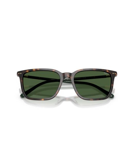 Polo Ralph Lauren Green Sunglass Ph4226 for men