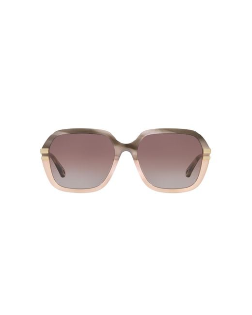 Chloé Black Sunglass Ch0204s