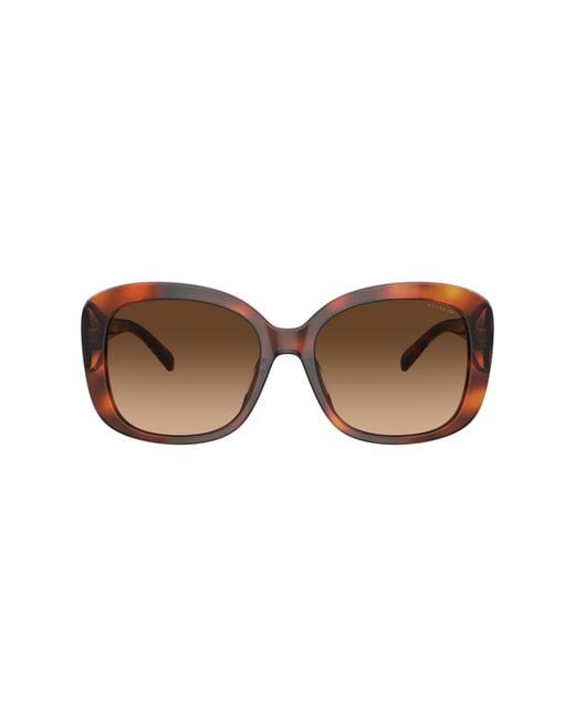 COACH Black Sunglass CH564