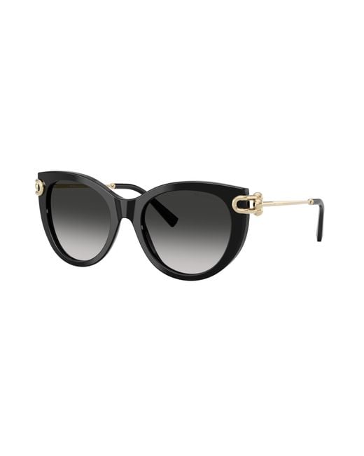 Tiffany & Co Black Sunglass Tf4232f