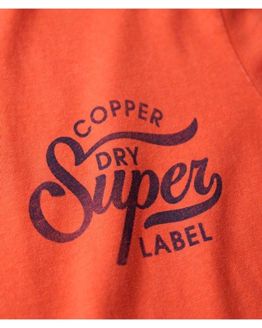 Superdry Blue & Co Oversized Copper Label Chest Graphic T-shirt