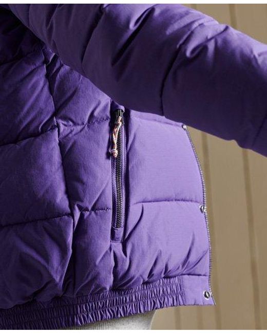 Superdry Purple Source Retro Puffer Jacket Prism