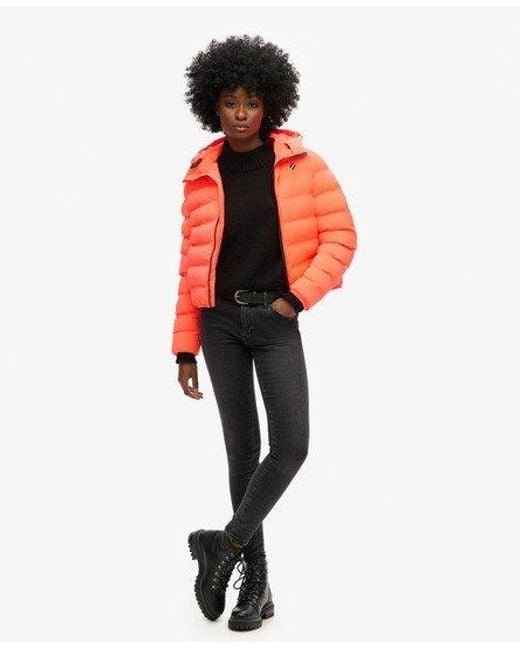 Superdry Red All Seasons Padded Jacket