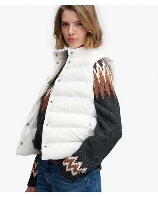 Superdry Blue & Co Padded Snap Gilet