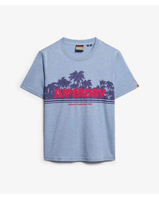 Superdry Blue & Co Outdoor Stripe Relaxed T-shirt