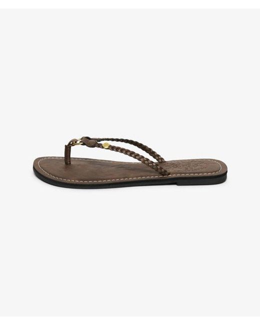Superdry Brown & Co Faux Leather Braided Flip Flops