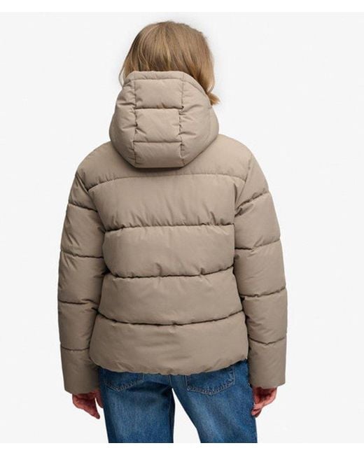 Superdry Natural Premium Hooded Puffer Jacket