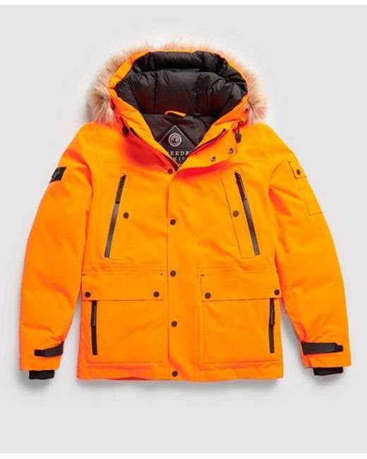 Premium ultimate down jacket online