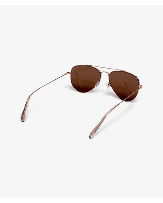 Superdry Brown & Co Classic Aviator Sunglasses