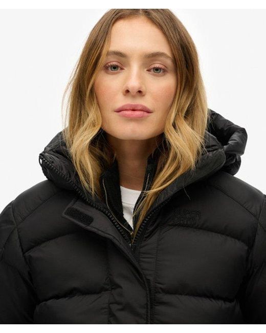Superdry Black & Co
