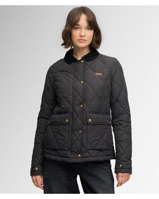 Superdry Gray & Co Cord Trimmed Liner Jacket