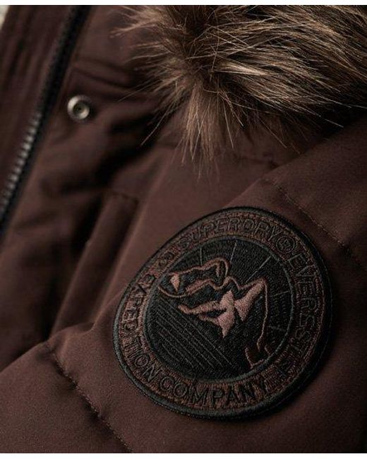 Bomber rembourré à capuche everest Superdry en coloris Blue